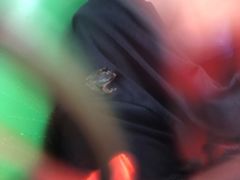 -藏龙百瀑漂流