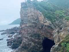 -杨梅坑
