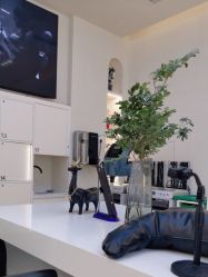 -汀南丝雨Hair design