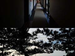 -滨千鸟之汤 海舟
