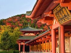 -龙口南山旅游景区