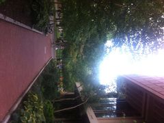 iphone_upload_pic-宾夕法尼亚大学沃顿商学院