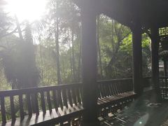 -团城山公园