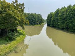 -上海海湾国家森林公园