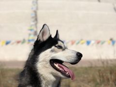 -亿利库布其七星湖沙漠生态旅游区