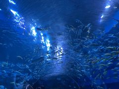 -海合安成都极地海洋公园