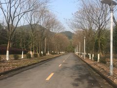 -浙江农林大学(东湖校区)
