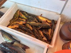 -江湖水乡铁锅炖魚(周庄嘉园店)