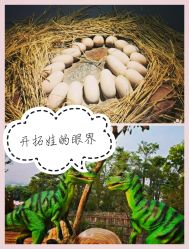 -恐龙探索乐园(磁器口店)
