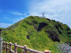 -涉地可支