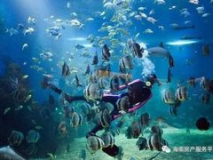 -亚龙湾海底世界