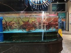 -阿伟海鲜楼·福建菜(延寿店)