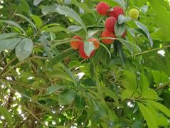 -艾溪湖湿地公园