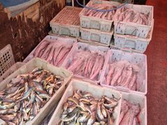 -芦潮港集贸市场