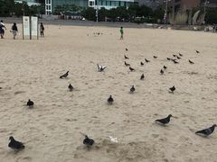 -海云台海滩
