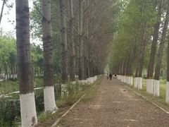 -东郊湿地公园