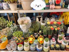 -双季花艺园艺市场(浦东店)