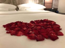 -团子宝宝宴派对百日宴生日布置策划·求婚策划·气球布置别墅民宿