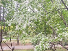 -国家植物园南园