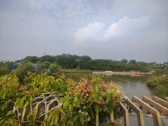 -江门古劳水乡旅游区
