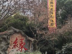 -杭州黄龙洞