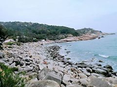 -广东惠东海龟国家级自然保护区