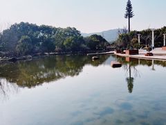 -白马涧龙池景区