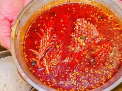 -蓉三少冒烤鸭·四川小吃集(北京首店)