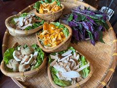 鸡油菌-滇野云南野生菌餐厅(陕西南路店)