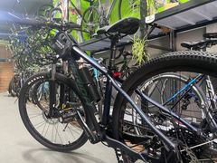 -道路口单车爱瓦士dahon大行