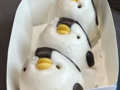 -上海海昌海洋公园