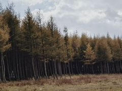 -塞罕坝国家级自然保护区