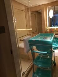 -巍阁高端月子会所