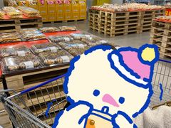 -麦德龙(浦东店)