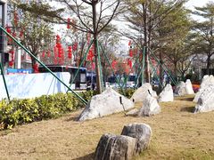 -招商蛇口邮轮母港(观光客运)