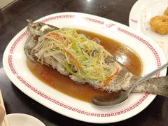 -中国城银都鱼翅酒楼