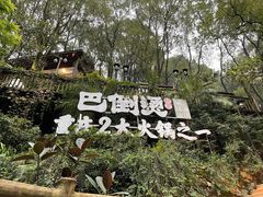 -巴倒烫陆派火锅山庄(南山总店)