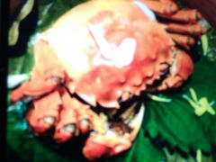 -上海静安香格里拉大酒店