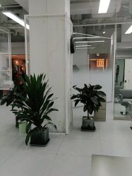 -P.STYLE派斯造型