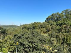 -深圳仙湖植物园