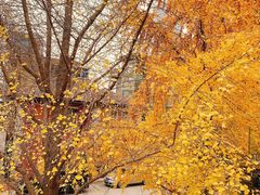 -腾爱熊猫咖啡生活馆(老东门店)