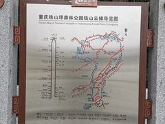 -铁山坪森林公园