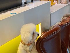 -默迹咖啡馆