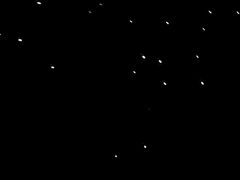 -怀托摩萤火虫洞