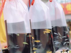 -中环花鸟鱼虫市场