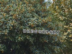 -常熟路(地铁站)