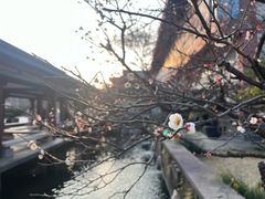 -浙江省博物馆(孤山馆区)