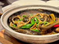 砂锅黑椒鳝丝-海立阁海鲜江浙菜(漕河泾印象城店)