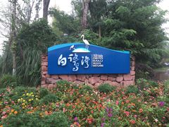 -白鹭湾湿地公园