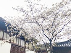 -寒山寺